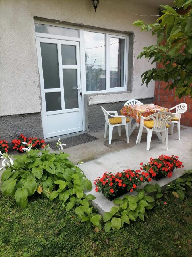 Apartmán Pavicevic Soko Banja Exteriér fotografie
