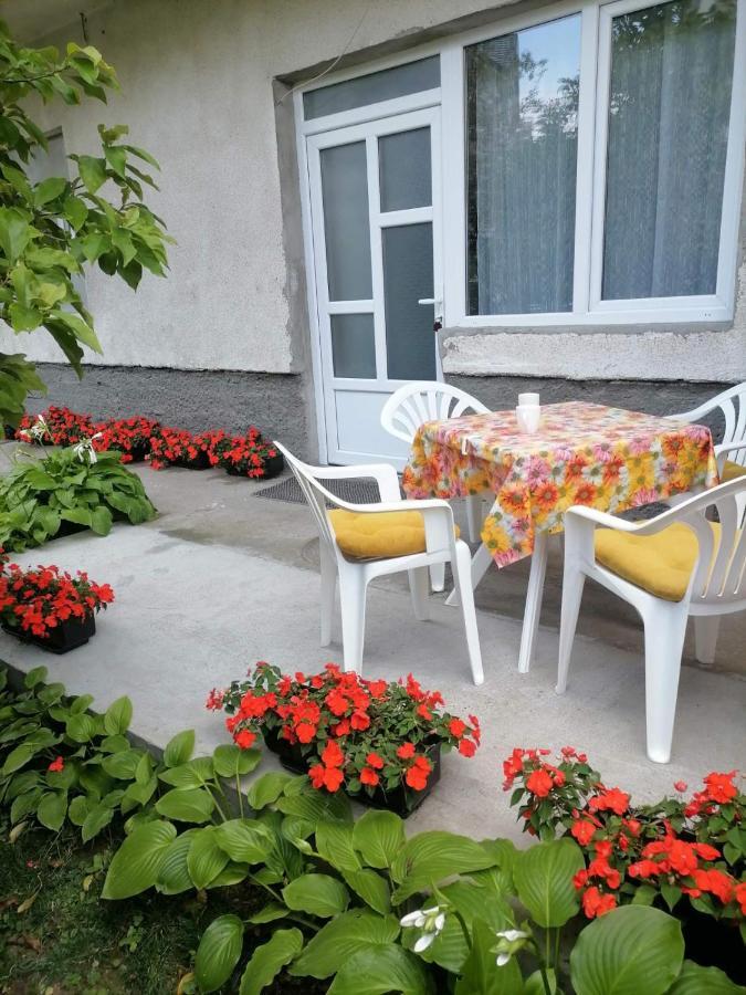 Apartmán Pavicevic Soko Banja Exteriér fotografie