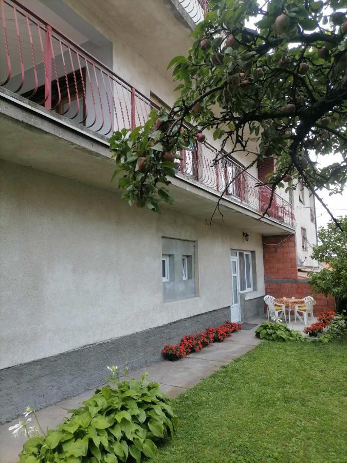 Apartmán Pavicevic Soko Banja Exteriér fotografie