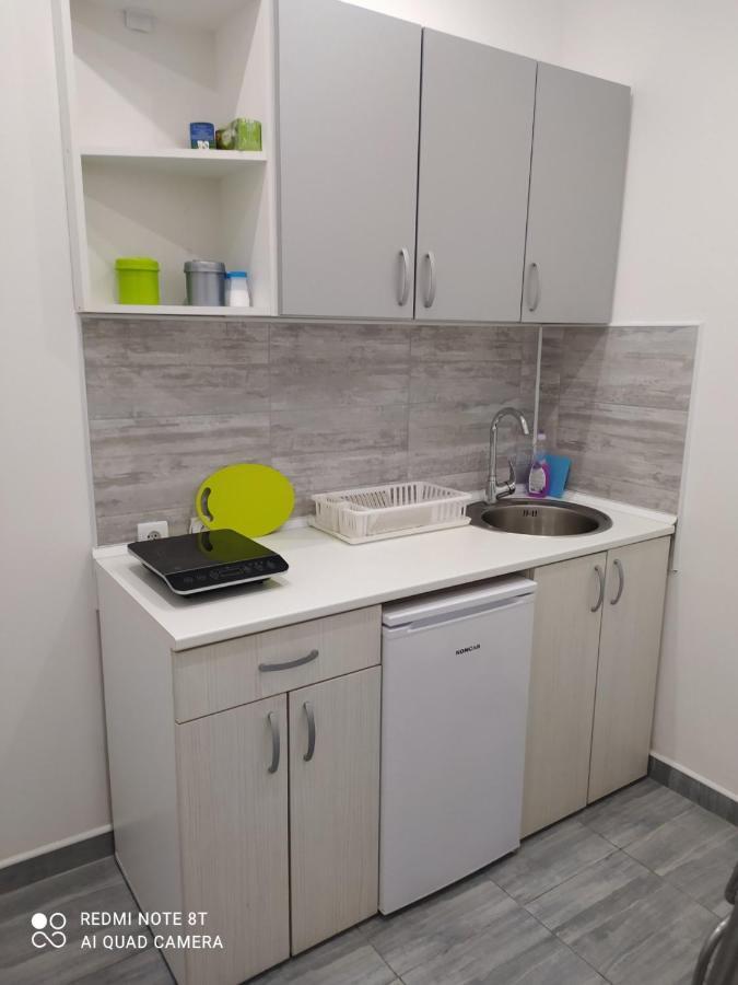 Apartmán Pavicevic Soko Banja Exteriér fotografie