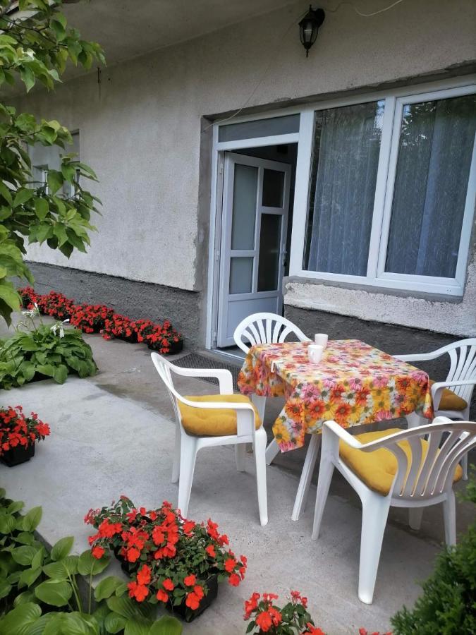 Apartmán Pavicevic Soko Banja Exteriér fotografie