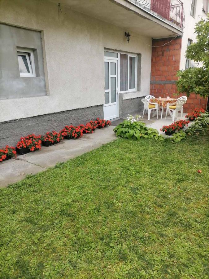 Apartmán Pavicevic Soko Banja Exteriér fotografie
