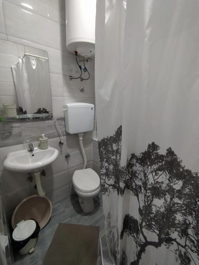 Apartmán Pavicevic Soko Banja Exteriér fotografie