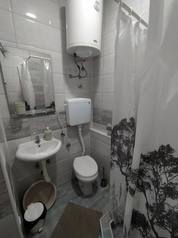 Apartmán Pavicevic Soko Banja Exteriér fotografie