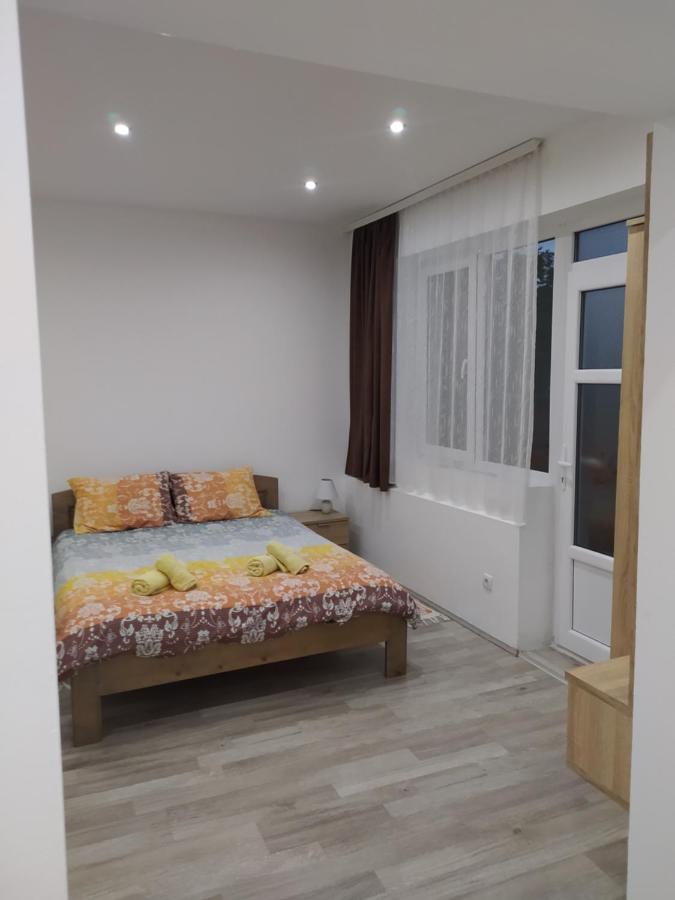 Apartmán Pavicevic Soko Banja Exteriér fotografie
