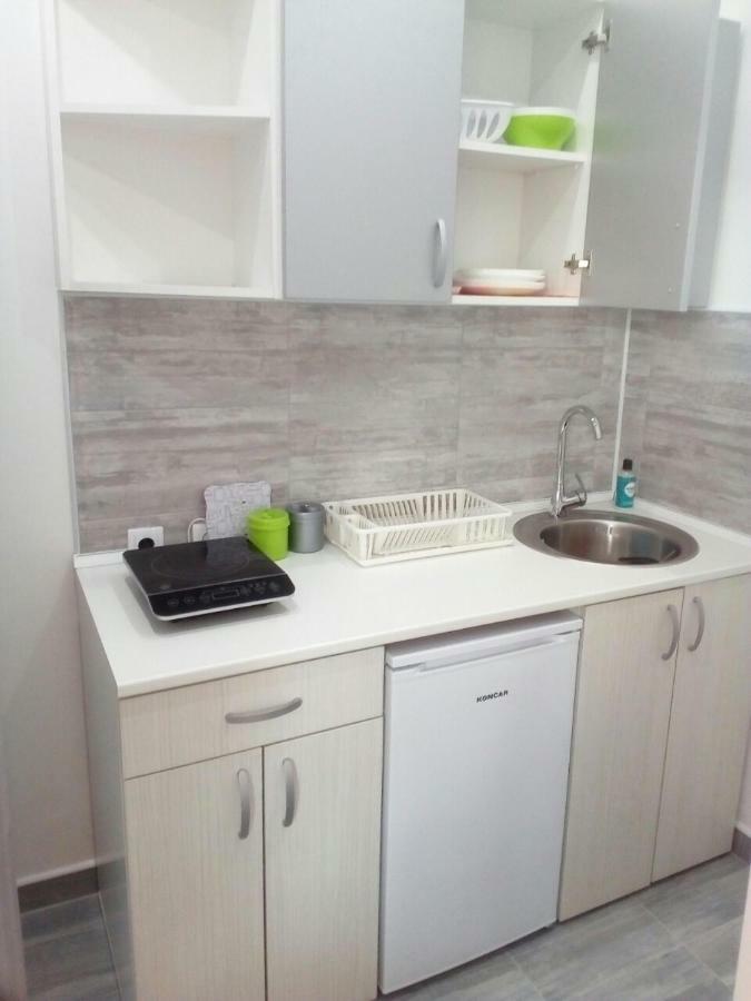 Apartmán Pavicevic Soko Banja Exteriér fotografie